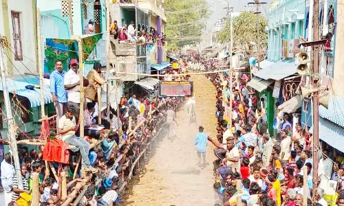 ஆம்பூர் அருகே எருது விடும் விழா
