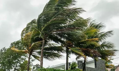 மலாவி, மொசாம்பிக்கை கடுமையாக தாக்கிய பிரெடி புயல்- 100க்கும் மேற்பட்டோர் பலி