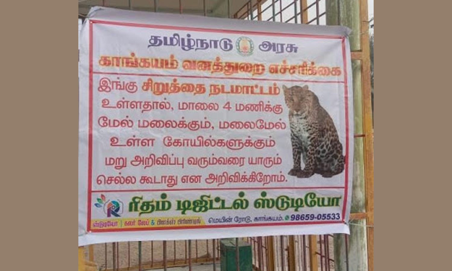 காங்கயம் அருகே ஊருக்குள் புகுந்து ஆடு, மாடுகளை கடித்து கொன்ற சிறுத்தை கூண்டு வைத்து பிடிக்க வனத்துறையினர் தீவிரம் காங்கயம் அருகே ஊருக்குள் புகுந்து ஆடு, மாடுகளை கடித்து கொன்ற சிறுத்தை கூண்டு வைத்து பிடிக்க வனத்துறையினர் தீவிரம்