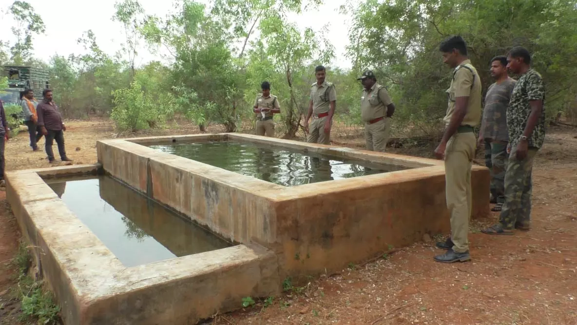 மேட்டுப்பாளையத்தில் வனவிலங்குகள் தண்ணீர் குடிக்க வசதியாக 7 இடங்களில் புதிய தண்ணீர் தொட்டிகள் மேட்டுப்பாளையத்தில் வனவிலங்குகள் தண்ணீர் குடிக்க வசதியாக 7 இடங்களில் புதிய தண்ணீர் தொட்டிகள்