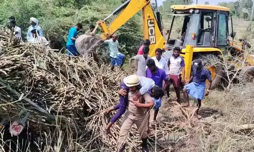 கரும்பு டிராக்டர் கவிழ்ந்து மாணவன் காயம்
