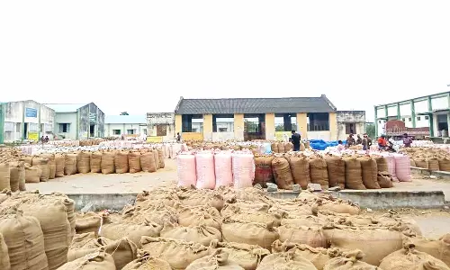 ஒழுங்குமுறை விற்பனை கூடங்களில் உளுந்து கொள்முதல்