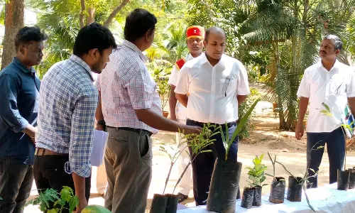 ஜீனூர் அரசு பண்ணையில்விதைகள் உற்பத்தி பணிகள்-கலெக்டர் ஆய்வு