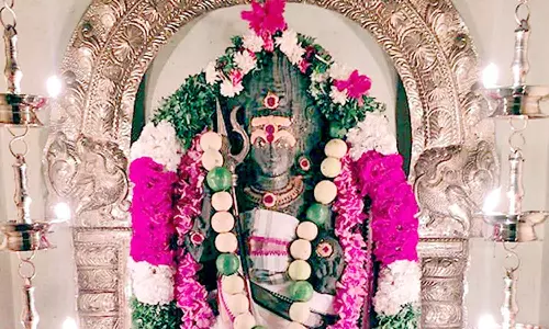 திருக்கானூர் கரும்பீஸ்வரர் கோவிலில் தேய்பிறை அஷ்டமி வழிபாடு