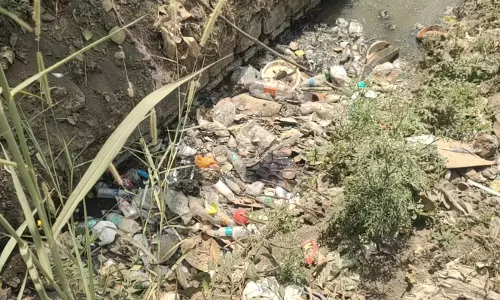 பாலக்கோடு கால்வாயில் தேங்கும் பிளாஸ்டிக் கழிவுகளால் நோய் பரவும் அபாயம்