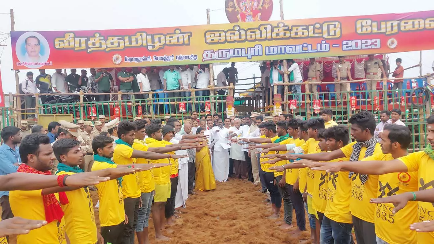 சோகத்தூரில் ஜல்லிக்கட்டு போட்டி சோகத்தூரில் ஜல்லிக்கட்டு போட்டி