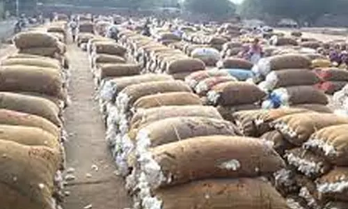 வாழப்பாடியில் ரூ.65 லட்சத்திற்கு பருத்தி விற்பனை