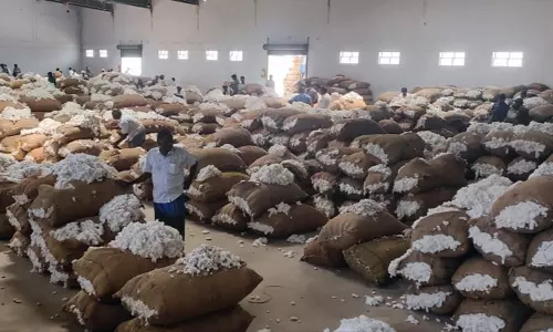 ரூ.34 லட்சத்திற்கு பருத்தி விற்பனை