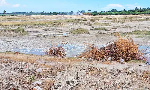 குலசேகரன்பட்டினம் தருவை குளத்தை நிரந்தரமாக  நீர் பெறும் குளமாக மாற்ற வேண்டும் - விவசாயிகள் கோரிக்கை