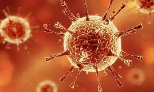 2 பேருக்கு கொரோனா பாதிப்பு