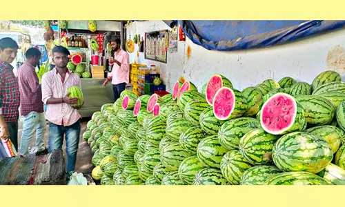 மதுரையில் சுட்டெரிக்கும் வெயிலால் பொதுமக்கள் கடும் அவதி