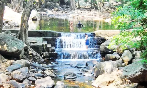 வெயிலின் தாக்கத்தால் களக்காடு தலையணையில் தண்ணீர் வரத்து குறைந்தது