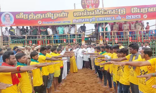 சோகத்தூரில்  ஜல்லிக்கட்டு போட்டி