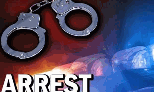 கோவையில் ரவுடிக்கு ஆதரவாக செயல்பட்ட 13 பேர் கைது