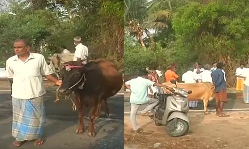 தமிழகம் முழுவதும் பால் உற்பத்தியாளர்கள் போராட்டம்
