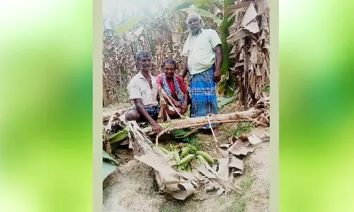 களக்காடு அருகே விவசாய தோட்டங்களில் உலா வரும் கரடி-விவசாயிகள் அச்சம்