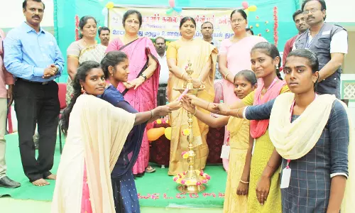 காரிமங்கலம் அரசு கல்லூரியில்  உணவு திருவிழா