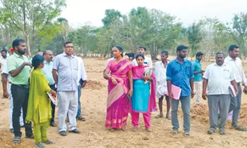 சேலம் மாவட்டத்தில் 38 தரிசு நிலத் தொகுப்புகள் விளை நிலங்களாக மாற்றம்