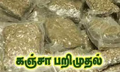 கஞ்சா வைத்திருந்த 4 வாலிபர்கள் சிக்கினர்