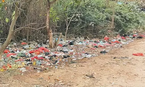 சுங்குவார்சத்திரம் அருகே சாலையோரம் கொட்டப்படும் குப்பையால் தொற்றுநோய் பரவும் அபாயம்