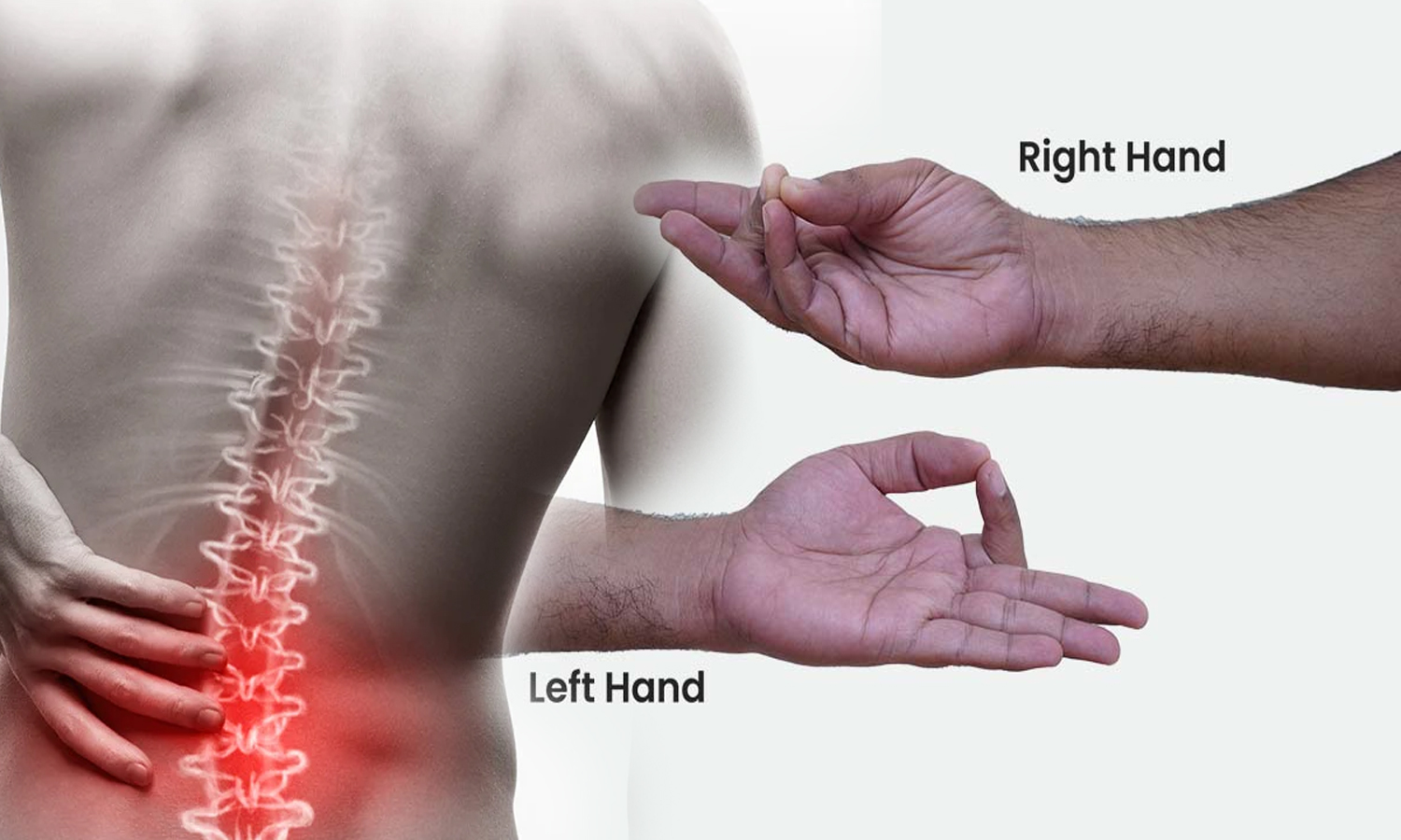 இடுப்பு வலி, முதுகு வலியை குணமாக்கும் முதுகுத்தண்டு முத்திரை
