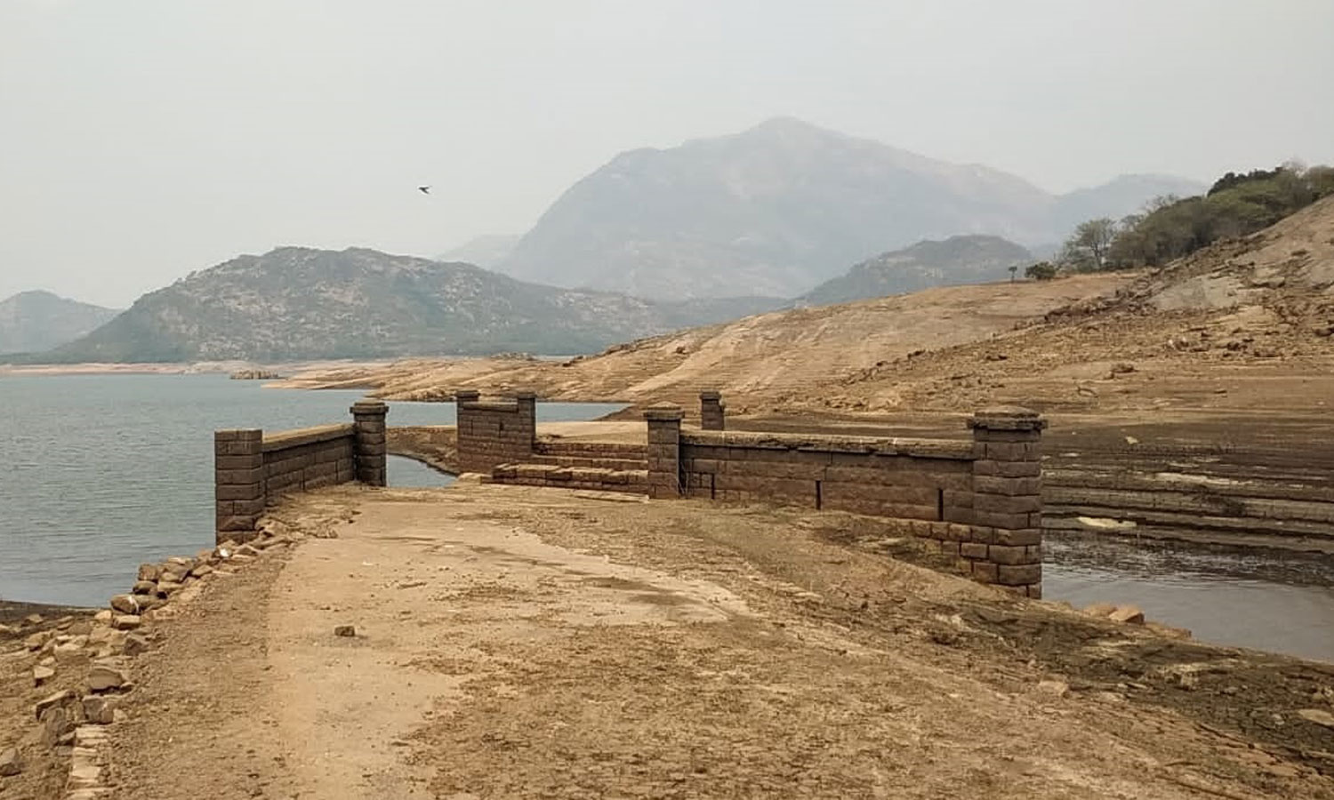 ஆழியாறு அணையில் வெளியே தெரியும் ஆங்கிலேயர் காலத்து பாலம்- சுற்றுலா பயணிகள் வியப்பு