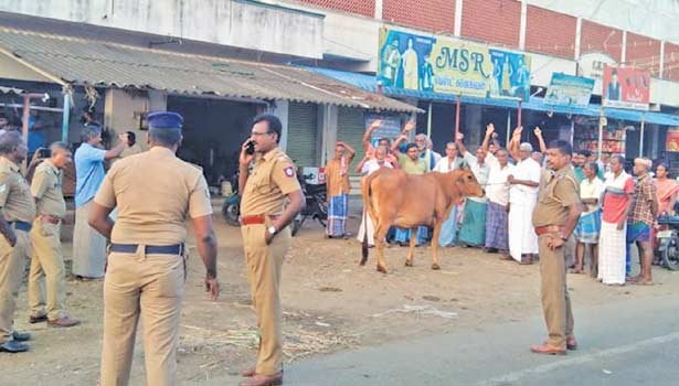 பவானி தளவாய்பேட்டையில் பசு மாட்டுடன் பால் உற்பத்தியாளர்கள் கண்டன ஆர்ப்பாட்டம்