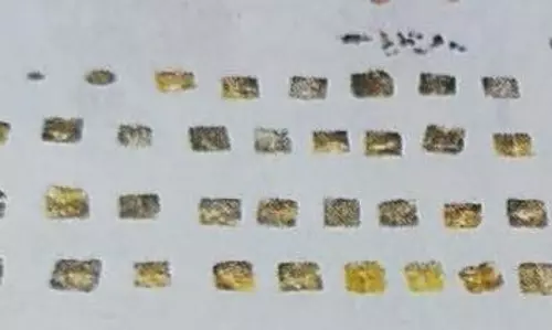 காளஹஸ்தி கோவிலில் பெருமாள் சிலைக்கு அடியில் தங்கம், நவரத்தின கற்கள் மீட்பு