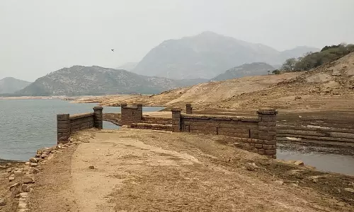 ஆழியாறு அணையில் வெளியே தெரியும் ஆங்கிலேயர் காலத்து பாலம்- சுற்றுலா பயணிகள் வியப்பு