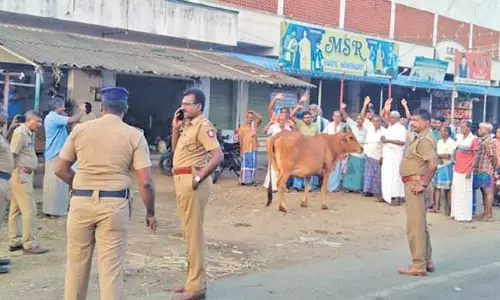 பவானி தளவாய்பேட்டையில் பசு மாட்டுடன் பால் உற்பத்தியாளர்கள் கண்டன ஆர்ப்பாட்டம்