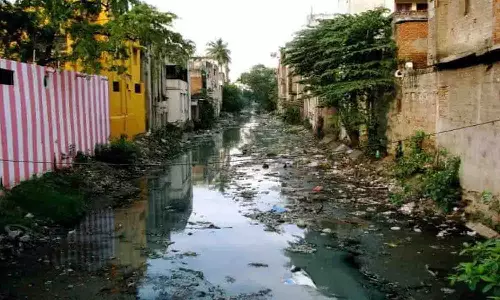 அவினாசி குடியிருப்பு பகுதியில் தேங்கி நிற்கும் கழிவுநீரால்  பொதுமக்கள் பாதிப்பு