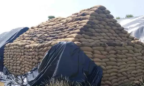 அனுமதியின்றி இயங்கிய அரிசி ஆலையின் மின் இணைப்பு துண்டிப்பு