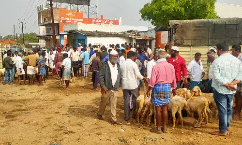 சூளகிரியில் ஆடுகள் விற்பனை அமோகம்