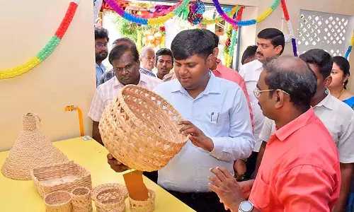 களக்காடு அருகே வாழை நார் உற்பத்தி மையம் - கலெக்டர் திறந்து வைத்தார்