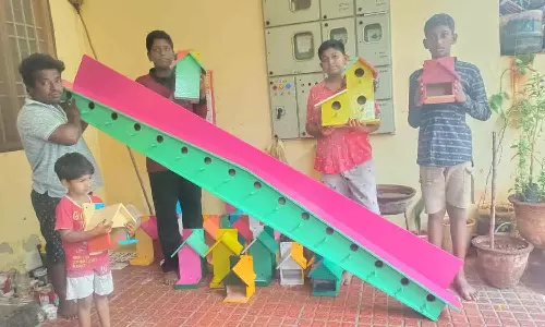 சிட்டு குருவிகளுக்காக 8 அடி மெகா கூண்டு தயாரிப்பு