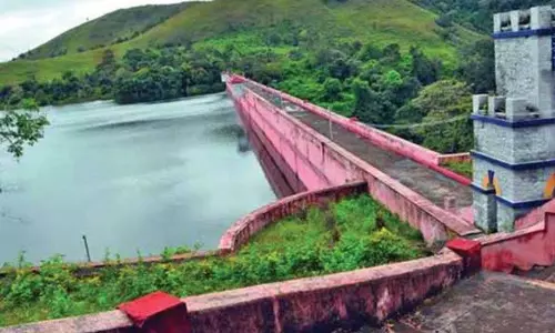 தேனி மாவட்டத்தில் பரவலாக மழை பெய்து வருவதால் அணைகளுக்கு நீர்வரத்து அதிகரிப்பு