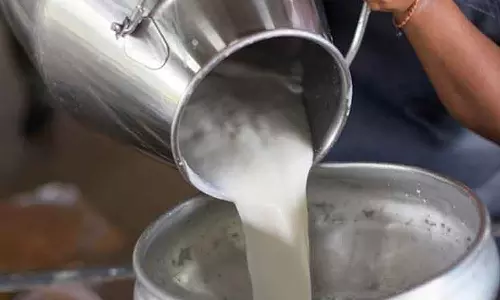 பால் கொள்முதல் விலையை உயர்த்த கோரி திருப்பூரில்  பால் காய்ச்சும் போராட்டம் -  21-ந்தேதி நடக்கிறது