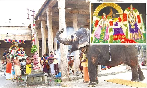 திருவானைக்காவல் ஜம்புகேஸ்வரர் கோவிலில் எட்டுத்திக்கு கொடியேற்றம்