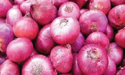 கோயம்பேடு மார்க்கெட்டுக்கு பெரிய வெங்காயம் வரத்து அதிகரிப்பு- கிலோ ரூ.12-க்கு விற்பனை