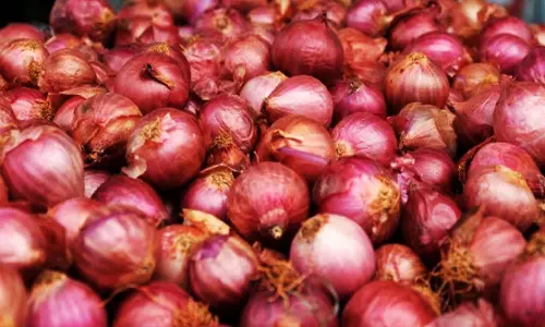 வெளி மாநிலங்களில் இருந்து அதிகளவு இறக்குமதி- நெல்லை மார்க்கெட்டுகளில் பல்லாரி விலை கிலோ ரூ.10- ஆக சரிவு