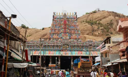 திருப்பரங்குன்றம் முருகன் கோவிலில் பங்குனி பெருவிழா 26-ந்தேதி கொடியேற்றத்துடன் தொடங்குகிறது