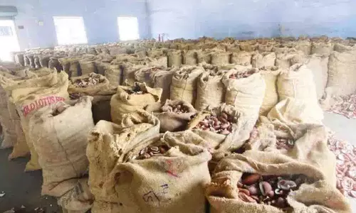 முத்தூர் ஒழுங்குமுறை விற்பனை கூடத்திற்கு தேங்காய் வரத்து அதிகரிப்பு