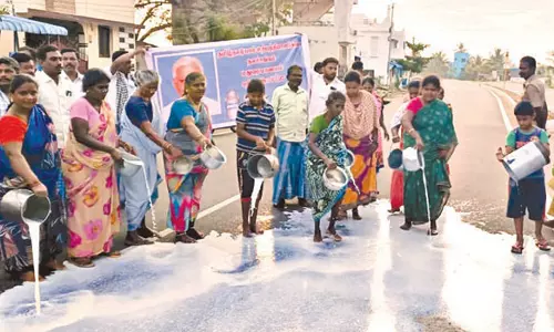 உசிலம்பட்டியில் இன்று சாலையில் பாலை கொட்டி உற்பத்தியாளர்கள் போராட்டம்
