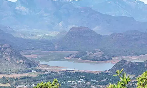 அமராவதி அணை நீர்மட்டம் சரிவால் பாசனம், குடிநீருக்கு தண்ணீர் தட்டுப்பாடு ஏற்பட வாய்ப்பு