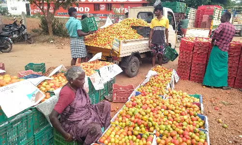 அய்யலூர்: மார்க்கெட்டில் தக்காளி வரத்து அதிகரிப்பு- விலை கடும் சரிவு