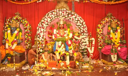 மெகா கறி விருந்து திருவிழா