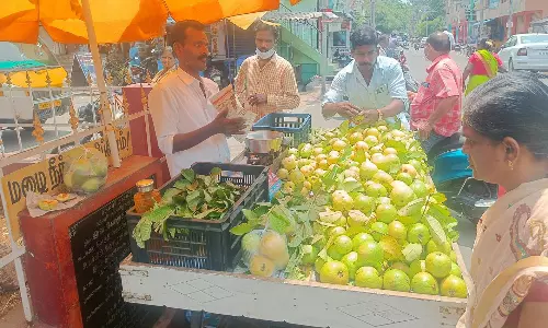தருமபுரியில் கொய்யா பழம் விற்பனை அமோகம்