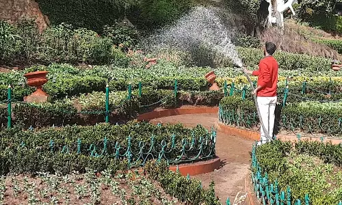 ஊட்டி தாவரவியல் பூங்காவில் 35 ஆயிரம் தொட்டிகளில் நாற்று நடவு