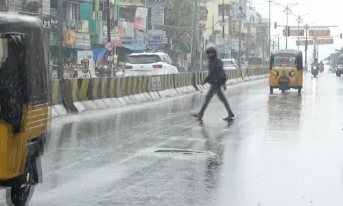 தருமபுரியில் பெய்த மழையால்  விவசாயிகள் மகிழ்ச்சி