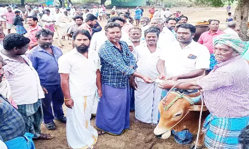 மல்லவாடி மாட்டு சந்தை தொடங்கியது